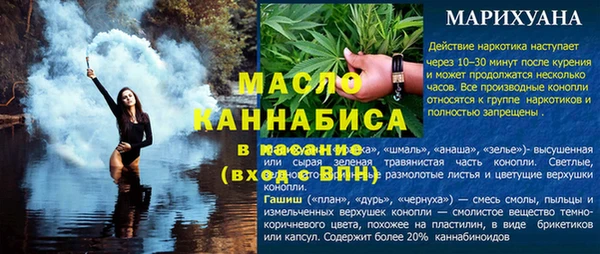 СК Сосновый Бор