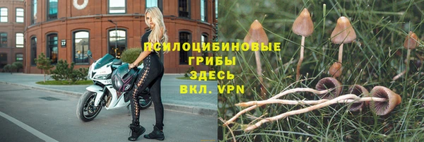 гашиш Сосновка