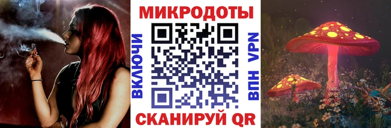 гидра tor  как найти закладки  Трубчевск  Псилоцибиновые грибы Psilocybe 